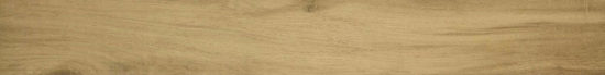 3X24 Acadia Natural Bullnose | Arley Wholesale