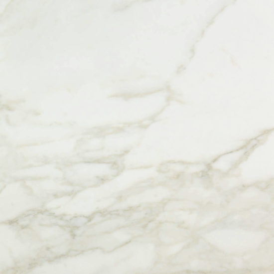 Amalfi Calacatta Honed 24X24 | Arley Wholesale
