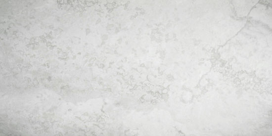 Argento 12X24 | Arley Wholesale