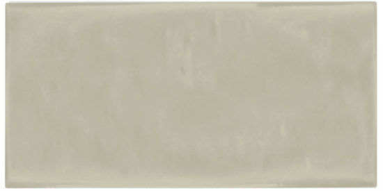 Autumn Tan 3X6 Glossy | Arley Wholesale