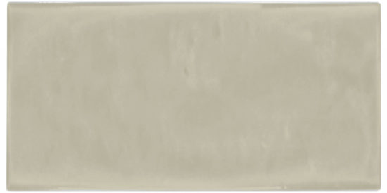 Autumn Tan 3X6 Glossy | Arley Wholesale