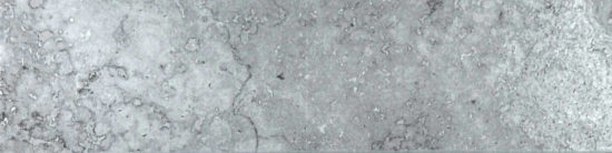 Grigio 3X12 Bullnose | Arley Wholesale