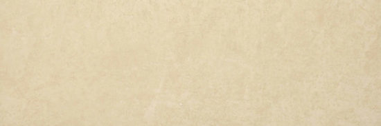 Polished Affection 4X12 | Arley Wholesale