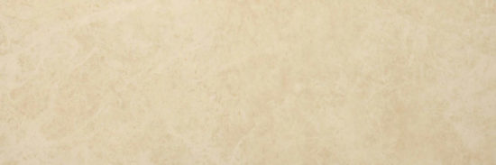 Polished Affection 4X12 | Arley Wholesale