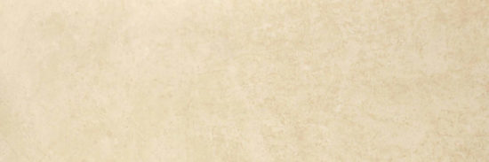 Polished Affection 4X12 | Arley Wholesale