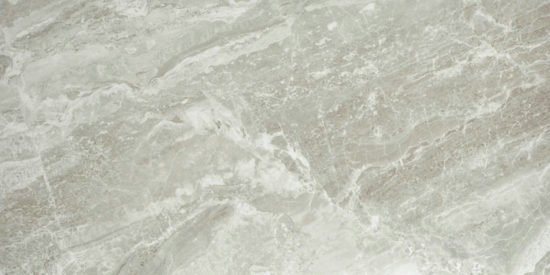 Polished Inspiration 16X32 | Arley Wholesale