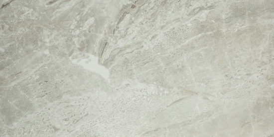 Polished Inspiration 16X32 | Arley Wholesale