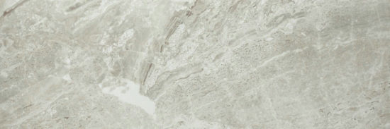 Polished Inspiration 4X12 | Arley Wholesale