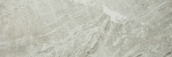 Polished Inspiration 4X12 | Arley Wholesale