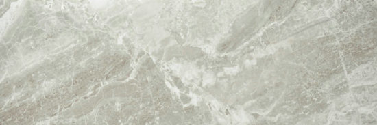 Polished Inspiration 4X12 | Arley Wholesale