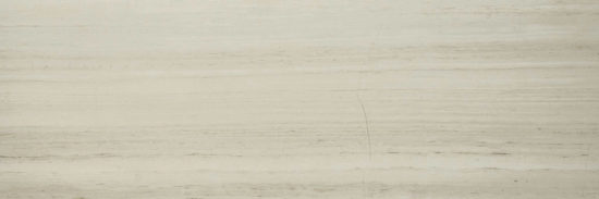 Polished Passion 4X12 | Arley Wholesale