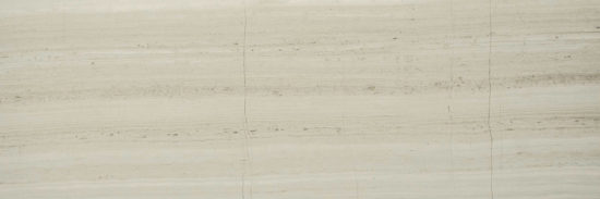Polished Passion 4X12 | Arley Wholesale