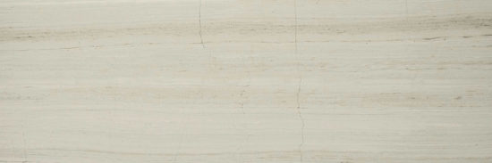 Polished Passion 4X12 | Arley Wholesale
