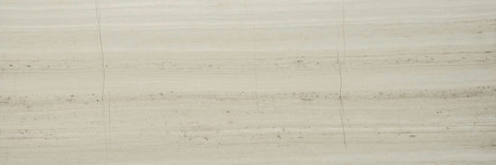 Polished Passion 4X12 | Arley Wholesale