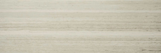 Polished Passion 4X12 | Arley Wholesale