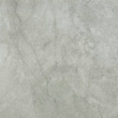 Roma Argento Polished 24X24 | Arley Wholesale