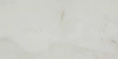 Sorrento Onyx Honed 24X48 | Arley Wholesale