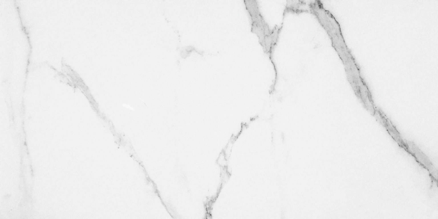 Statuario Venezia Honed 24X48