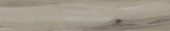 Champlain Grey 6X36 | Qualis Ceramica