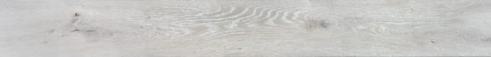 Timber Ridge 7x60 4562 Seashell | Qualis Ceramica
