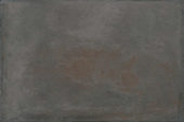 Palms Steel 16x24 | Qualis Ceramica