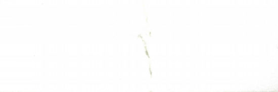 Polished Adoration 10.5X32 | Qualis Ceramica | Luxury Tile and Vinyl at affordable prices