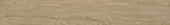 Timber Ridge 9X60 2001-European White Oak | Qualis Ceramica | Luxury Tile and Vinyl at affordable prices