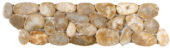 Beige Sliced Polished Pebble Interlocking Border | Qualis Ceramica | Luxury Tile and Vinyl at affordable prices