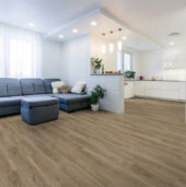 2003-French Oak | Qualis Ceramica | Luxury Tile and Vinyl at affordable prices