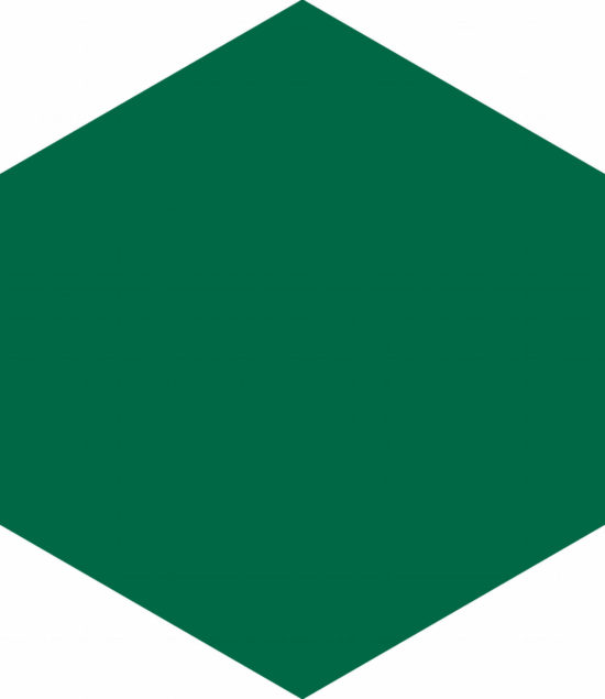 Ronda 5.5X6.3” Green Hexagon | Qualis Ceramica | Luxury Tile and Vinyl at affordable prices