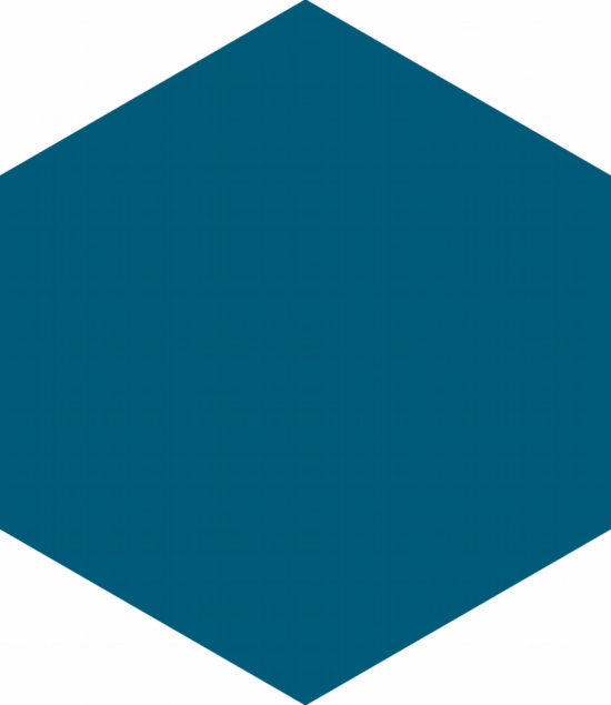Ronda 5.5X6.3” Navy Blue Hexagon | Qualis Ceramica | Luxury Tile and Vinyl at affordable prices