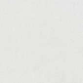 30X30 White | Qualis Ceramica | Luxury Tile and Vinyl at affordable prices