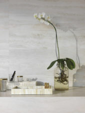 Bianco Navona Matte 12X24 | Qualis Ceramica | Luxury Tile and Vinyl at affordable prices