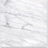 18X18F Carrara | Qualis Ceramica | Luxury Tile and Vinyl at affordable prices