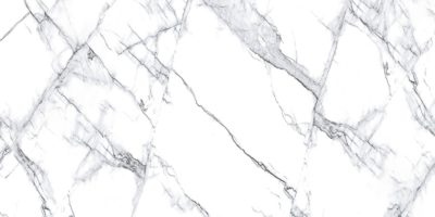 Treasure II Ice White Marble 12×24 Carved