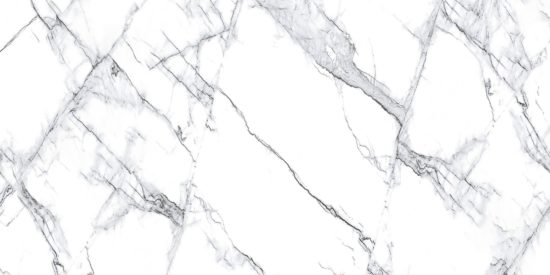 Treasure II Ice White Marble 24x48 Polished