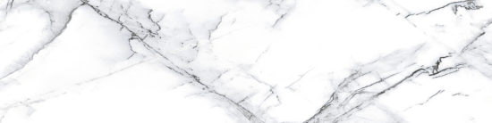 Treasure II Ice White Marble 3x12 Carved Bullnose