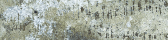 Brix 2x10 Mud | Qualis Ceramica | Luxury Tile and Vinyl at affordable prices