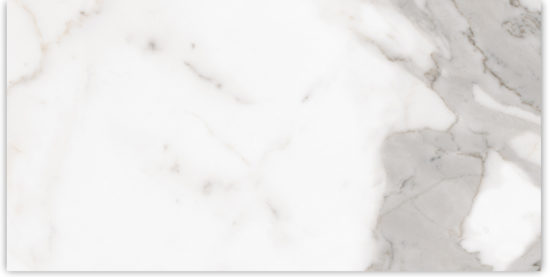 24X48 Matte Amore Grey | Qualis Ceramica | Luxury Tile and Vinyl at affordable prices