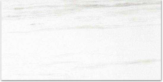 Matte Devotion 12X24 | Qualis Ceramica | Luxury Tile and Vinyl at affordable prices