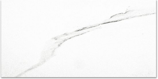 Matte Infatuation 16X32 | Qualis Ceramica | Luxury Tile and Vinyl at affordable prices