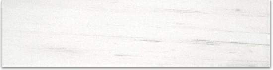 Polished 3X12 Devotion Bullnose | Qualis Ceramica | Luxury Tile and Vinyl at affordable prices