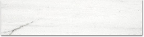 Polished 3X12 Devotion Bullnose | Qualis Ceramica | Luxury Tile and Vinyl at affordable prices