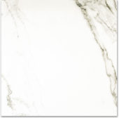 Polished Adoration 24X24 | Qualis Ceramica | Luxury Tile and Vinyl at affordable prices