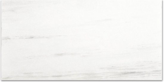 Polished Devotion 12X24 | Qualis Ceramica | Luxury Tile and Vinyl at affordable prices
