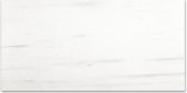 Polished Devotion 12X24 | Qualis Ceramica | Luxury Tile and Vinyl at affordable prices