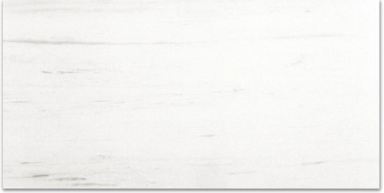 Polished Devotion 12X24 | Qualis Ceramica | Luxury Tile and Vinyl at affordable prices