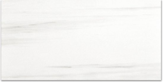 Polished Devotion 12X24 | Qualis Ceramica | Luxury Tile and Vinyl at affordable prices