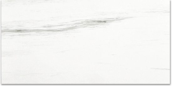 Polished Devotion 24X48 | Qualis Ceramica | Luxury Tile and Vinyl at affordable prices