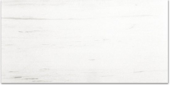 Polished Devotion 24X48 | Qualis Ceramica | Luxury Tile and Vinyl at affordable prices